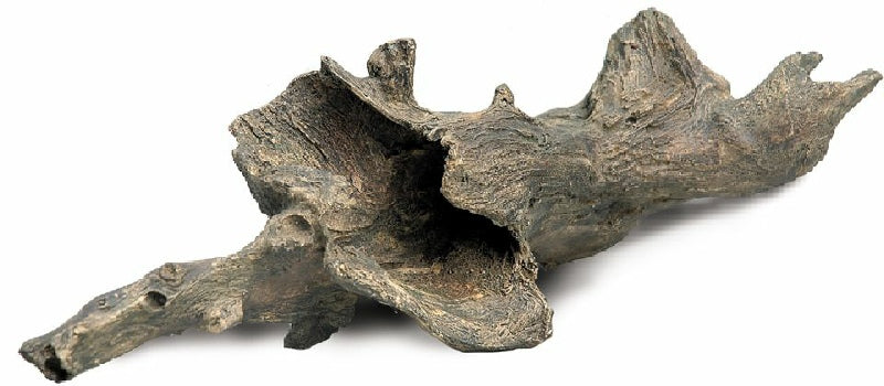 Driftwood