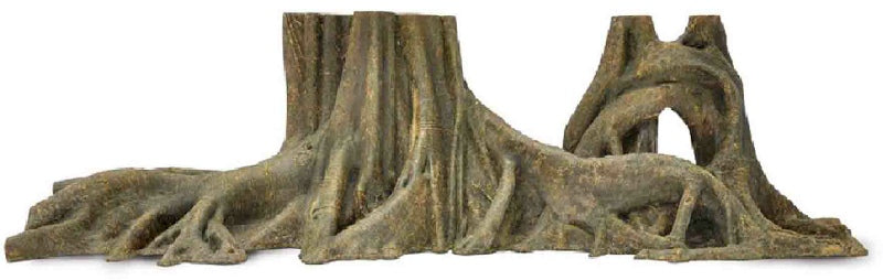 Forest Tree Trunk