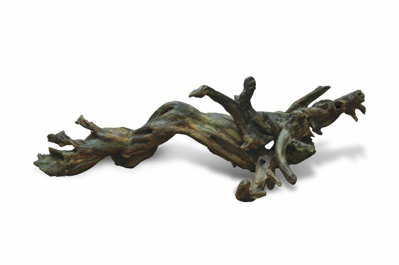 Driftwood