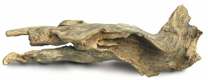 Driftwood