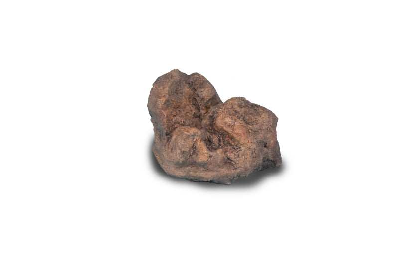 Komodo Stone
