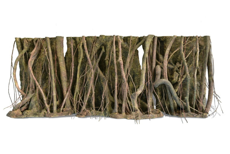 Forest Roots