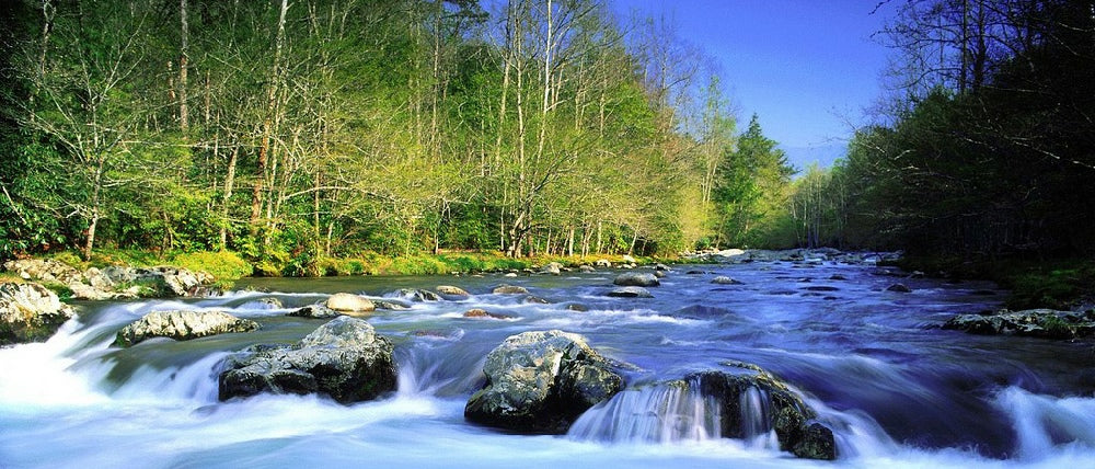 FRESHWATER