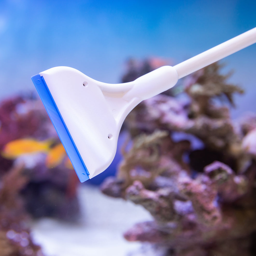 NEW WAVE Algae scraper